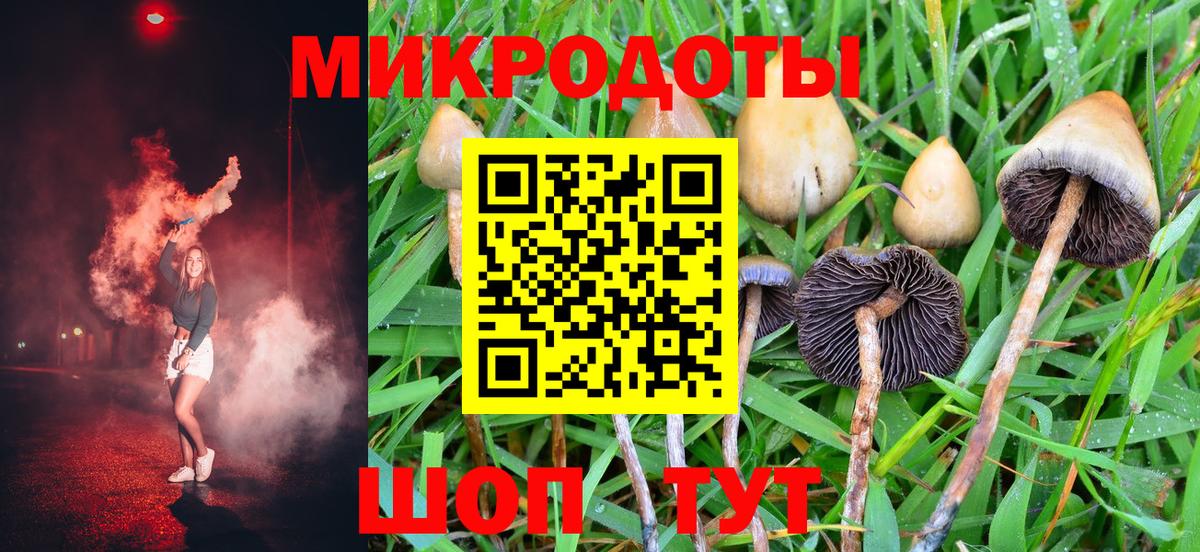 купить наркотики сайты  Вход с VPN  Нововоронеж  Псилоцибиновые грибы Psilocybe 