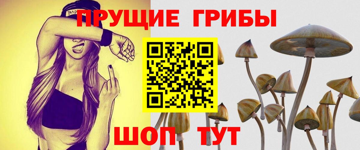Галлюциногенные грибы ЛСД Нововоронеж